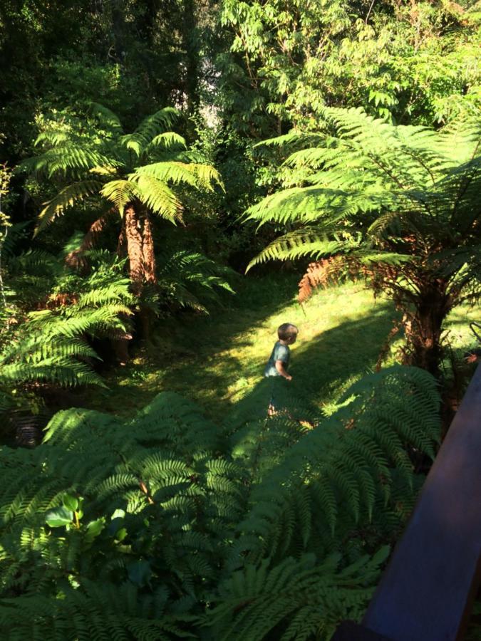 Villa The Ferns Hideaway Franz Josef Exterior foto